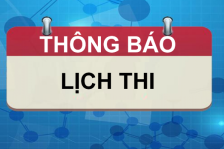 Thông báo tổ chức thi cấp chứng chỉ nghiệp vụ khai hải quan năm 2023 Thông báo tổ chức thi cấp chứng chỉ nghiệp vụ khai hải quan năm 2023